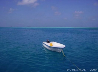  Inmersiones únicas con Dunkerque Plongee 